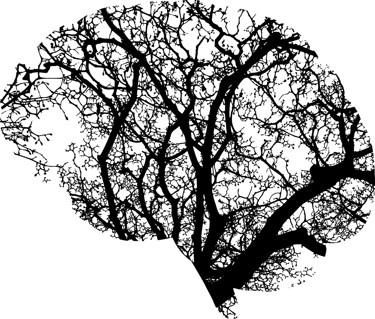 Konfliktlösung Konfliktlösung